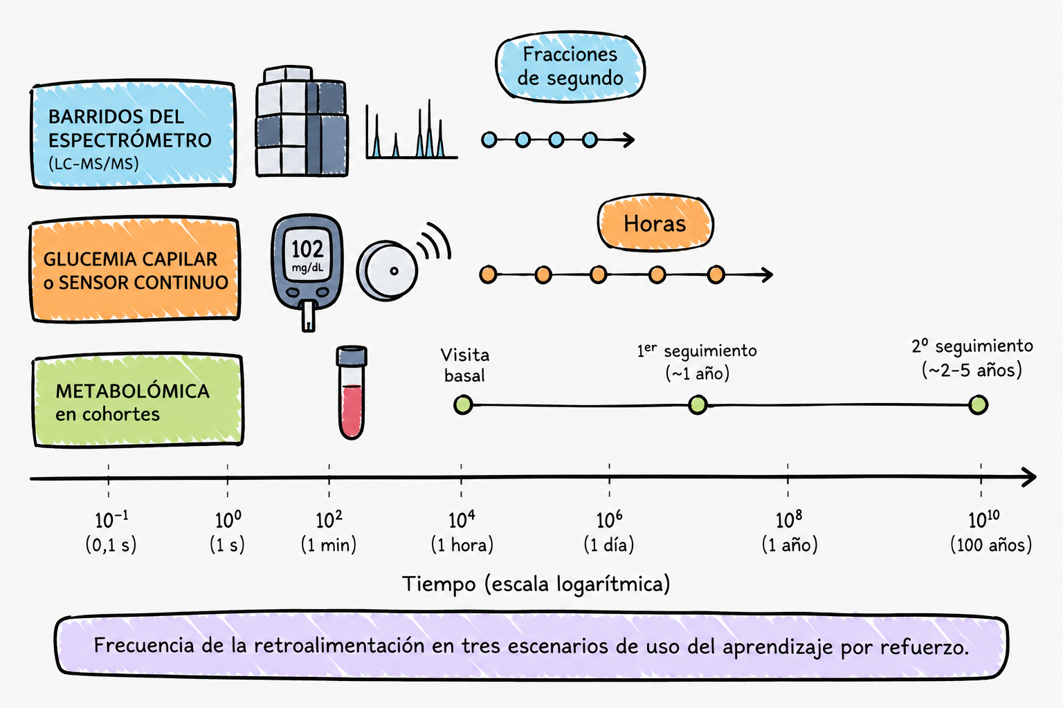 Tres líneas de tiempo en escala logarítmica que comparan la frecuencia de la retroalimentación: espectrómetro, glucemia y metabolómica en cohortes.