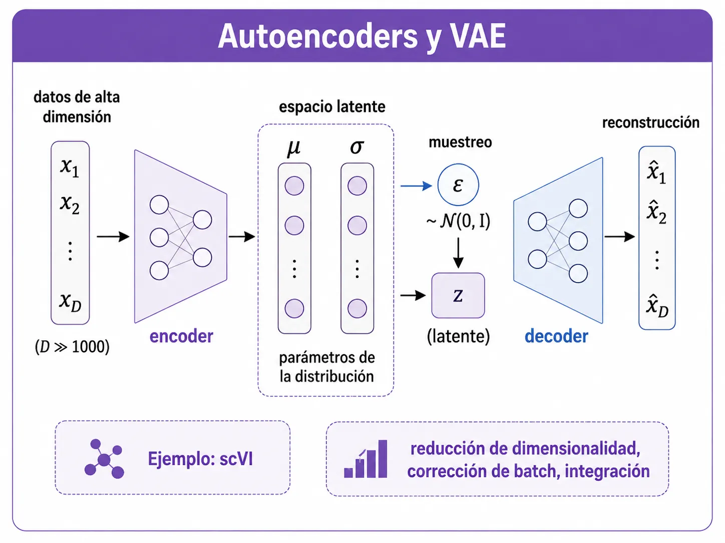 Esquema de un autoencoder variacional (VAE): un encoder comprime los datos de alta dimensión en un espacio latente (mu, sigma), se muestrea y un decoder reconstruye los datos originales.