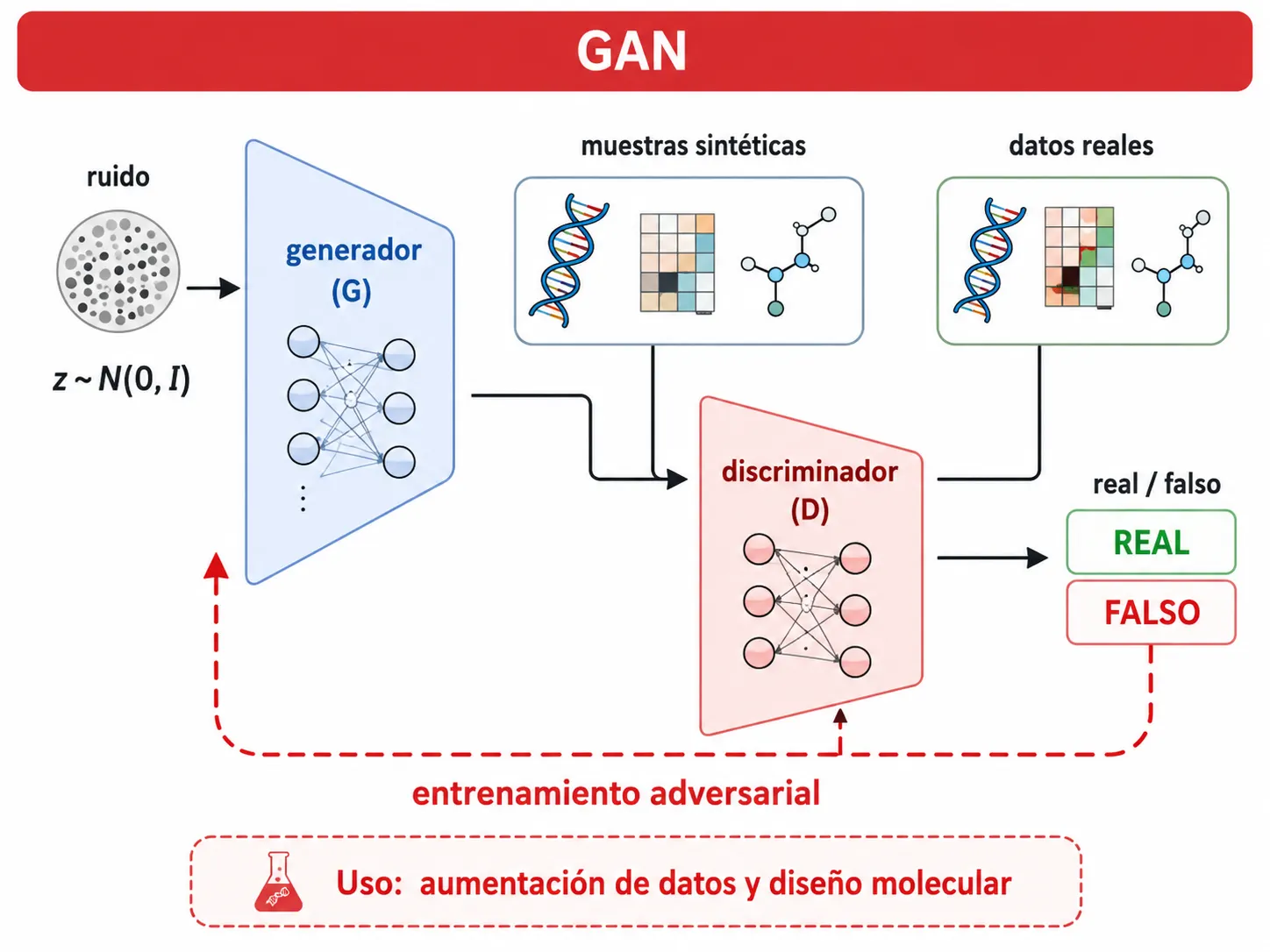 Esquema de una GAN: un generador crea muestras sintéticas a partir de ruido, un discriminador las compara con datos reales y clasifica como real o falso, retroalimentando el entrenamiento adversarial.