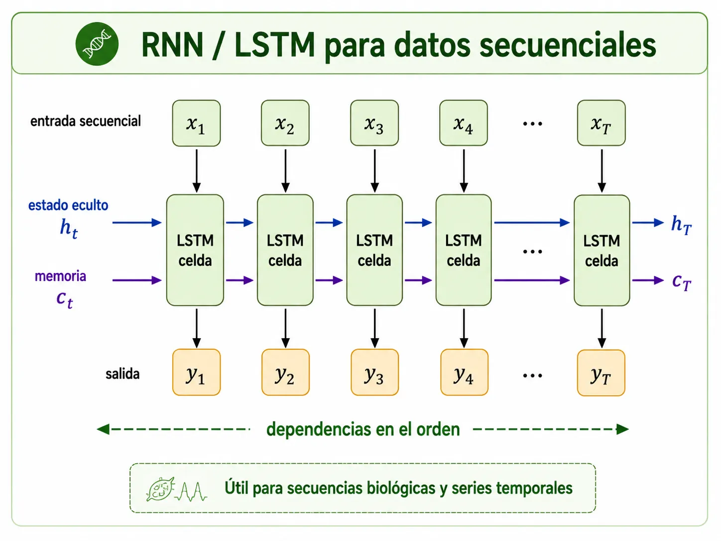 Diagrama de una red RNN/LSTM procesando una entrada secuencial, mostrando el estado oculto y la memoria propagándose entre celdas a lo largo del tiempo.