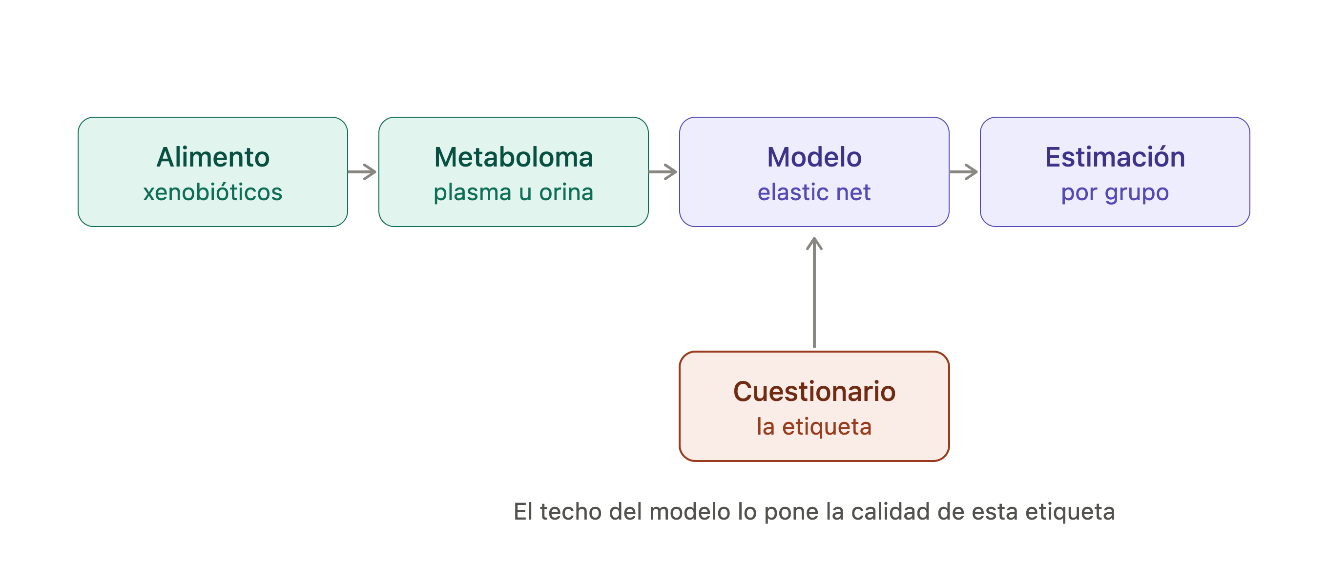 Diagrama del recorrido del alimento a la estimación de la ingesta: compuestos del alimento, medición en plasma u orina, modelo supervisado y estimación por grupo de alimentos, con el cuestionario como etiqueta de entrenamiento.